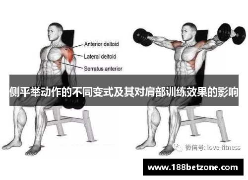 侧平举动作的不同变式及其对肩部训练效果的影响