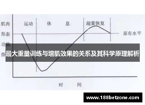 最大重量训练与增肌效果的关系及其科学原理解析
